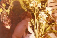 Tom 0418.jpg: 1981